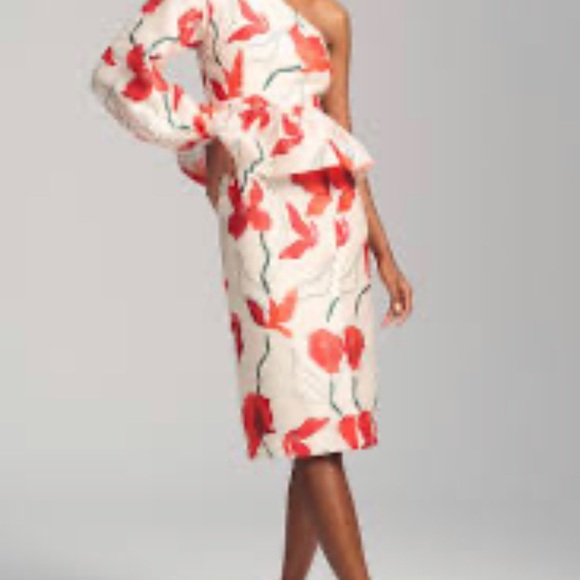 NWT Anthropologie Hutch One-Shoulder Floral Peplum Dress size 10 - Picture 3 of 11